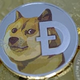 Dogecoin Price Soars To All-Time High After Elon Musk's Tweet